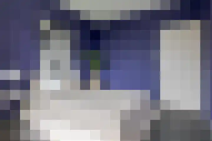 Palestrinalaan 106 Zwolle thumbnail 23