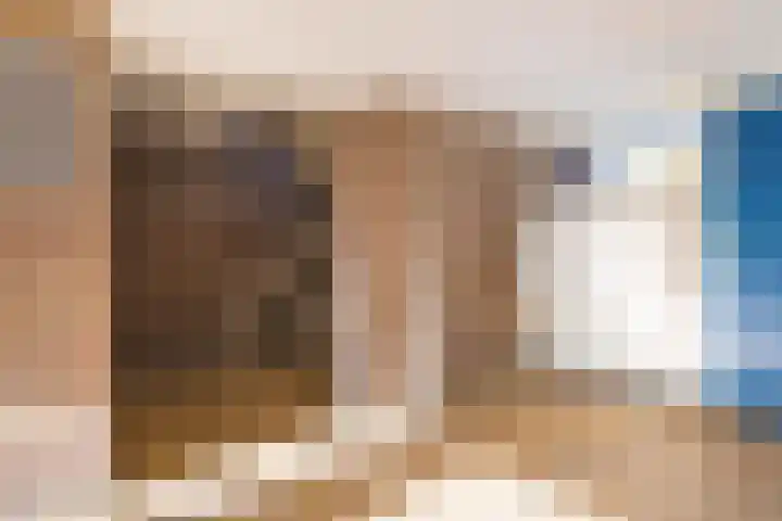 Palestrinalaan 106 Zwolle thumbnail 33