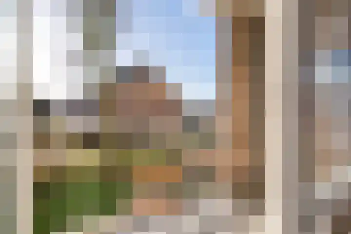 Palestrinalaan 106 Zwolle thumbnail 4