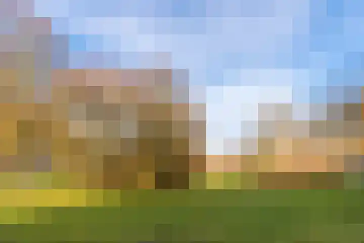 Palestrinalaan 106 Zwolle thumbnail 41