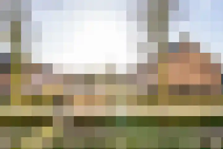 Palestrinalaan 106 Zwolle thumbnail 42