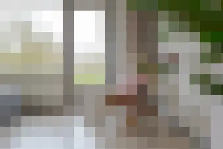 Palestrinalaan 106 Zwolle thumbnail 9