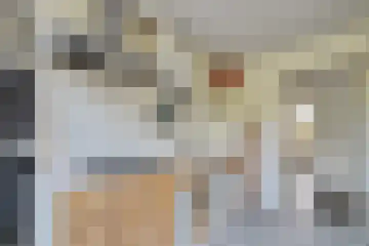 Palestrinalaan 114 Zwolle thumbnail 11