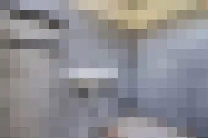 Palestrinalaan 114 Zwolle thumbnail 12