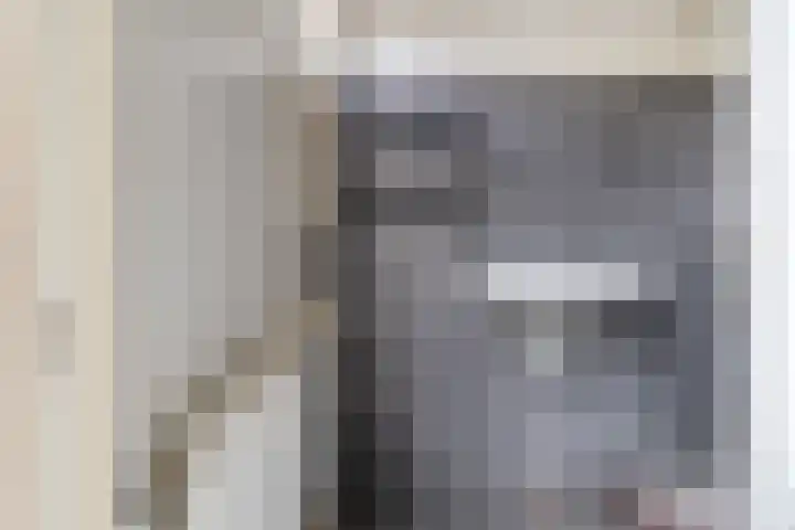 Palestrinalaan 114 Zwolle thumbnail 13