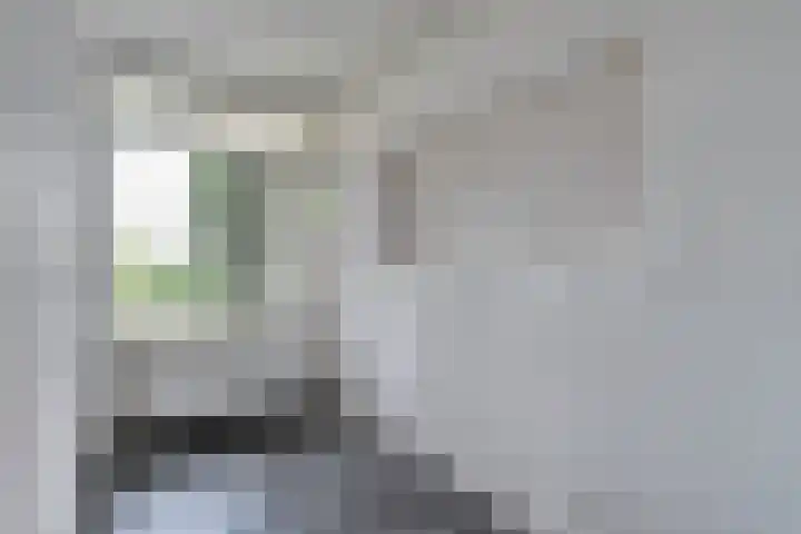 Palestrinalaan 114 Zwolle thumbnail 14