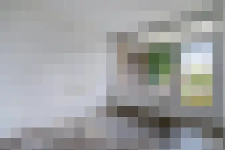 Palestrinalaan 114 Zwolle thumbnail 16