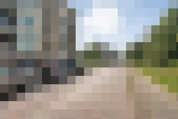 Palestrinalaan 114 Zwolle thumbnail 21