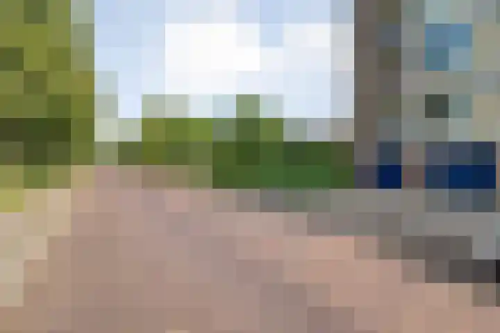 Palestrinalaan 114 Zwolle thumbnail 22