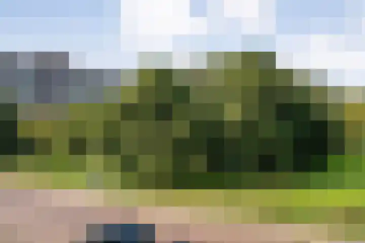 Palestrinalaan 114 Zwolle thumbnail 23