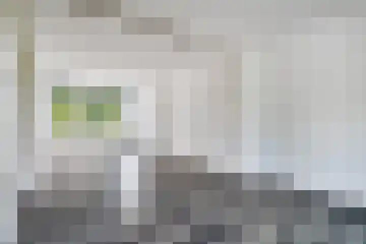 Palestrinalaan 114 Zwolle thumbnail 9