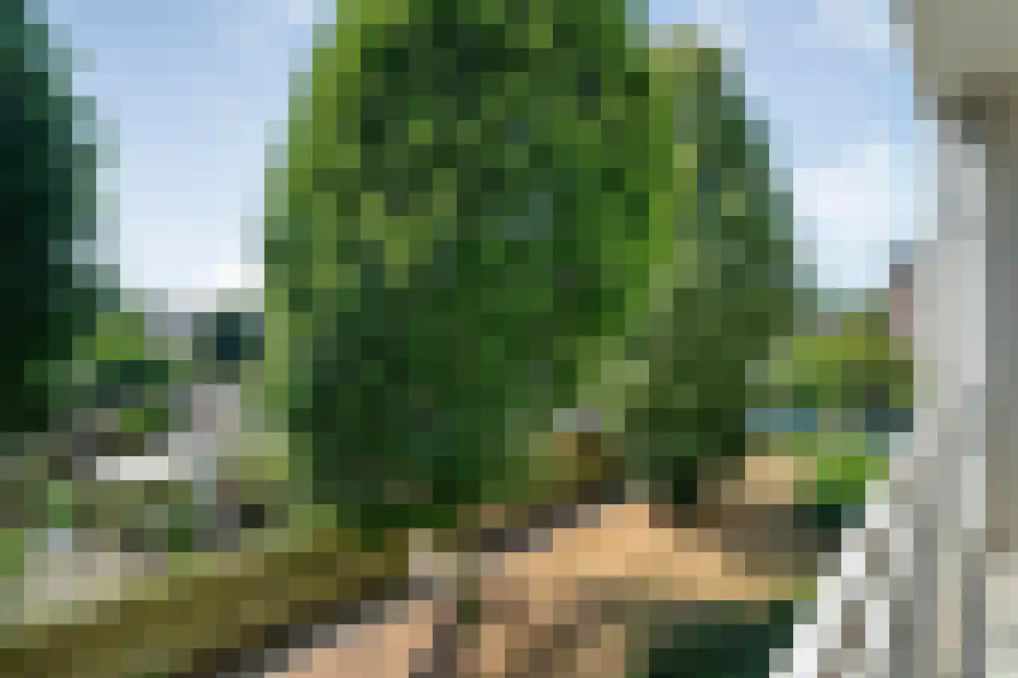 Palestrinalaan 116 Zwolle thumbnail 17