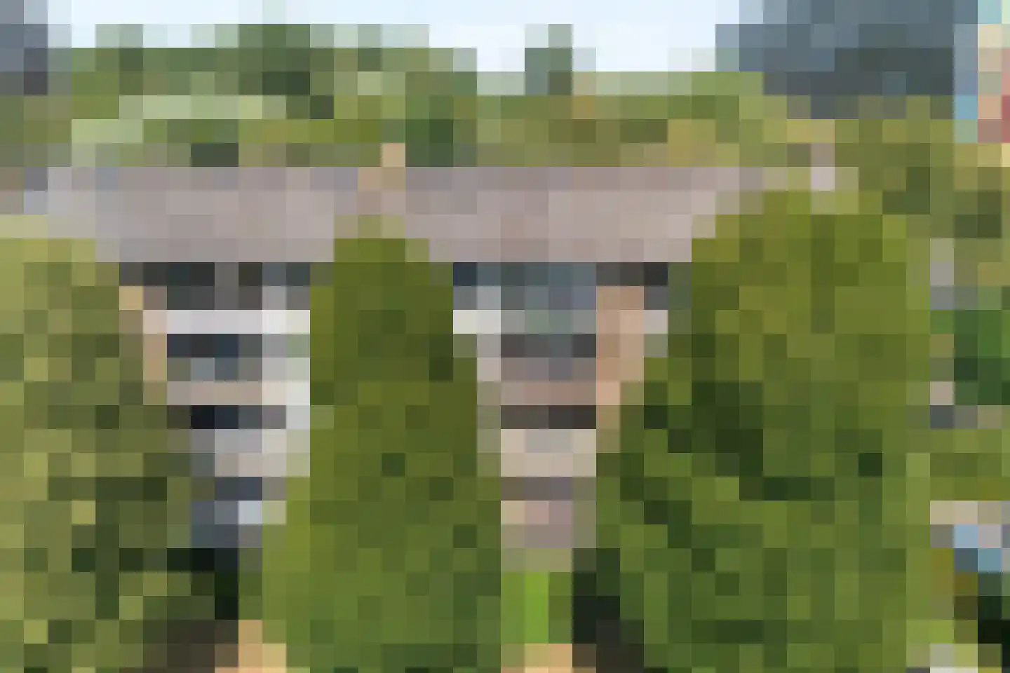 Palestrinalaan 116 Zwolle thumbnail 35