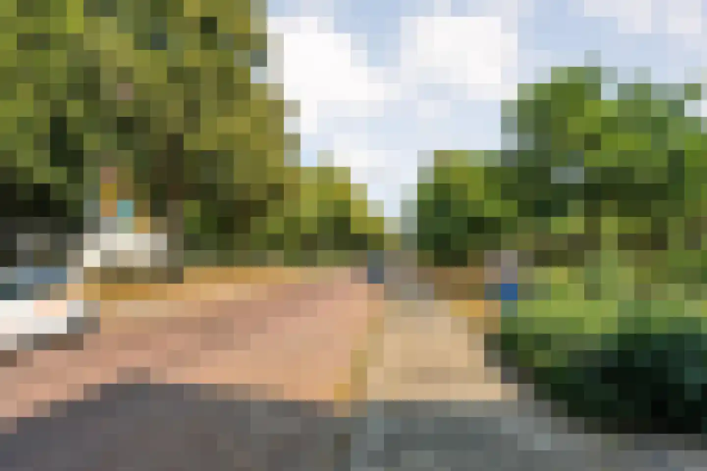 Palestrinalaan 116 Zwolle thumbnail 39