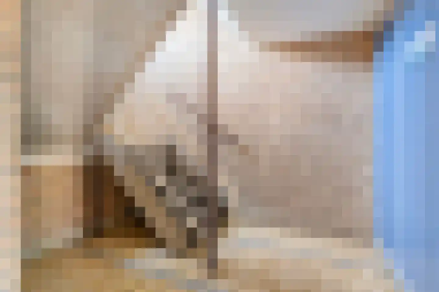 Palestrinalaan 122 Zwolle thumbnail 19