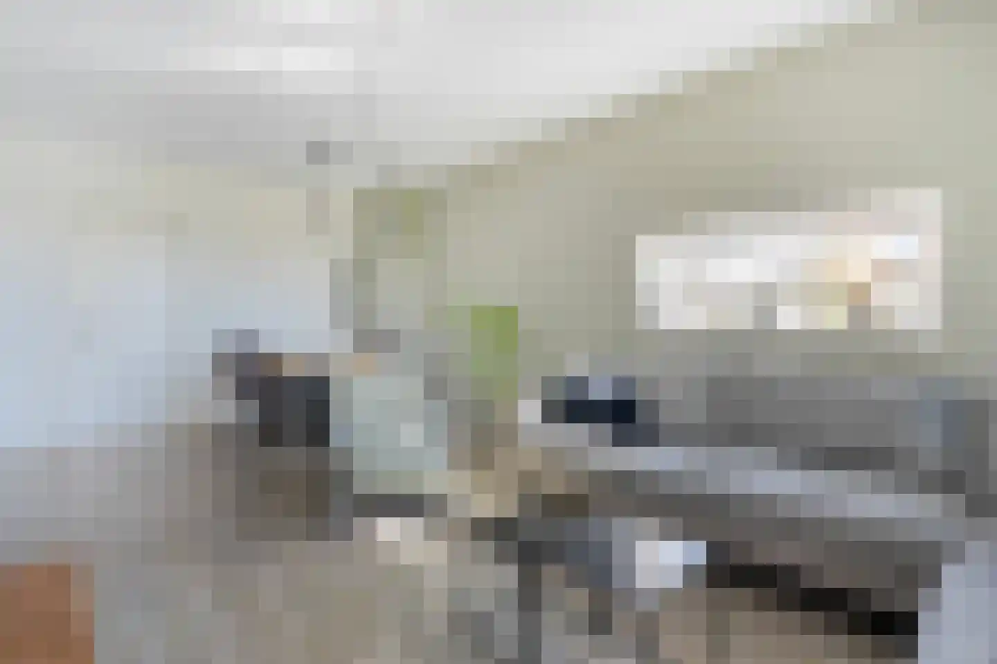 Palestrinalaan 122 Zwolle thumbnail 28