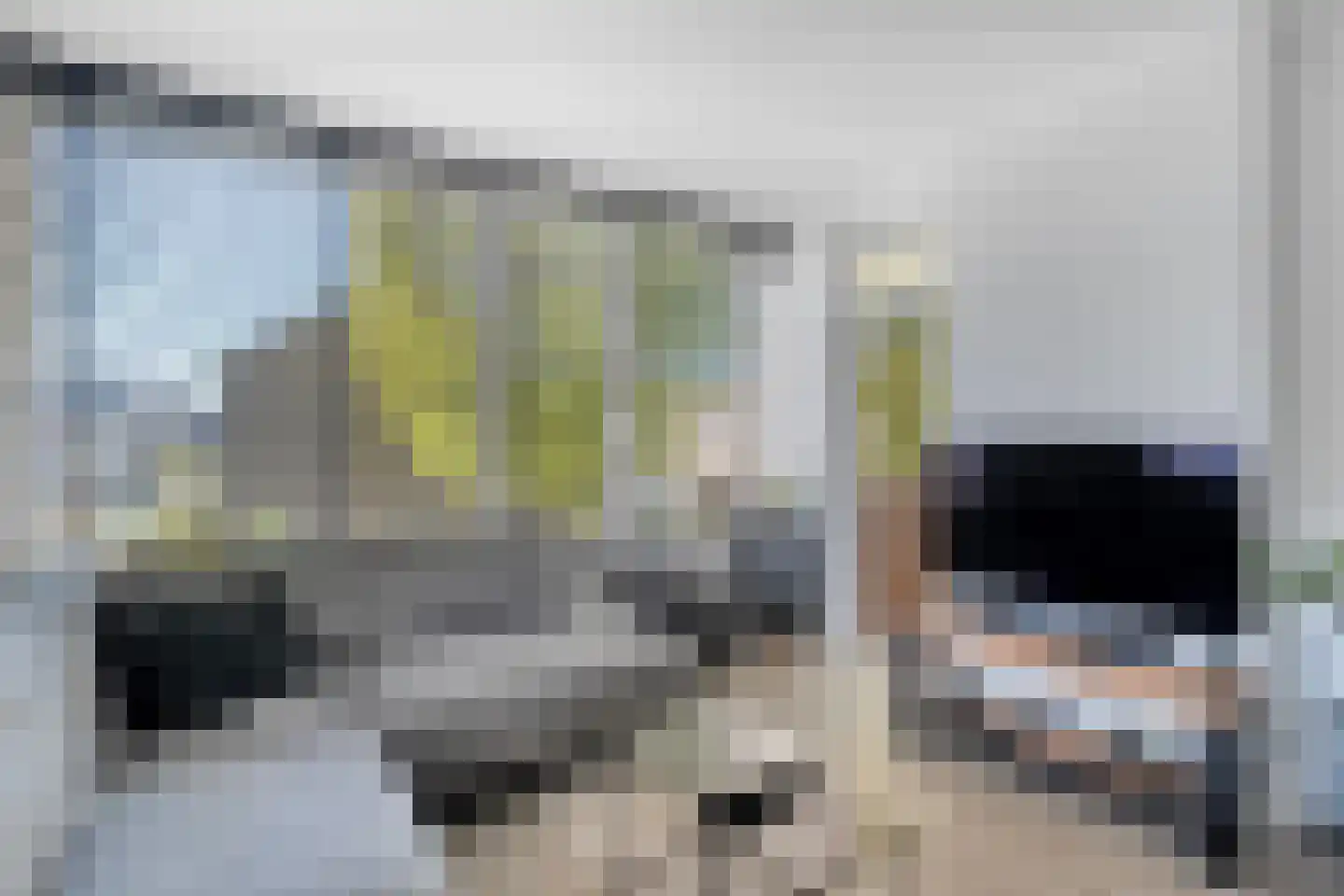 Palestrinalaan 122 Zwolle thumbnail 30
