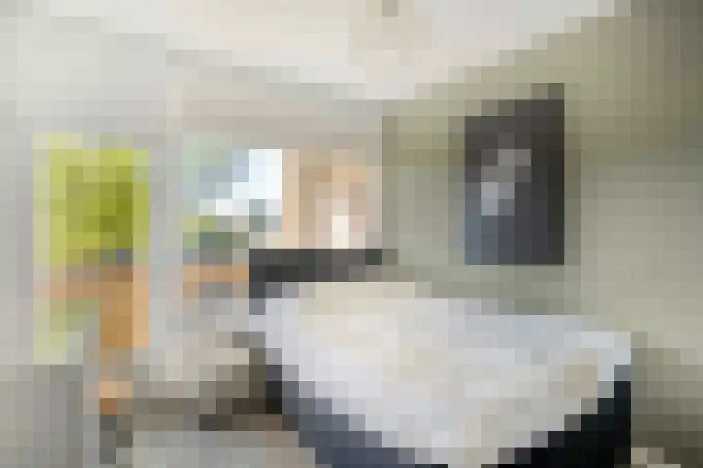 Palestrinalaan 122 Zwolle thumbnail 40