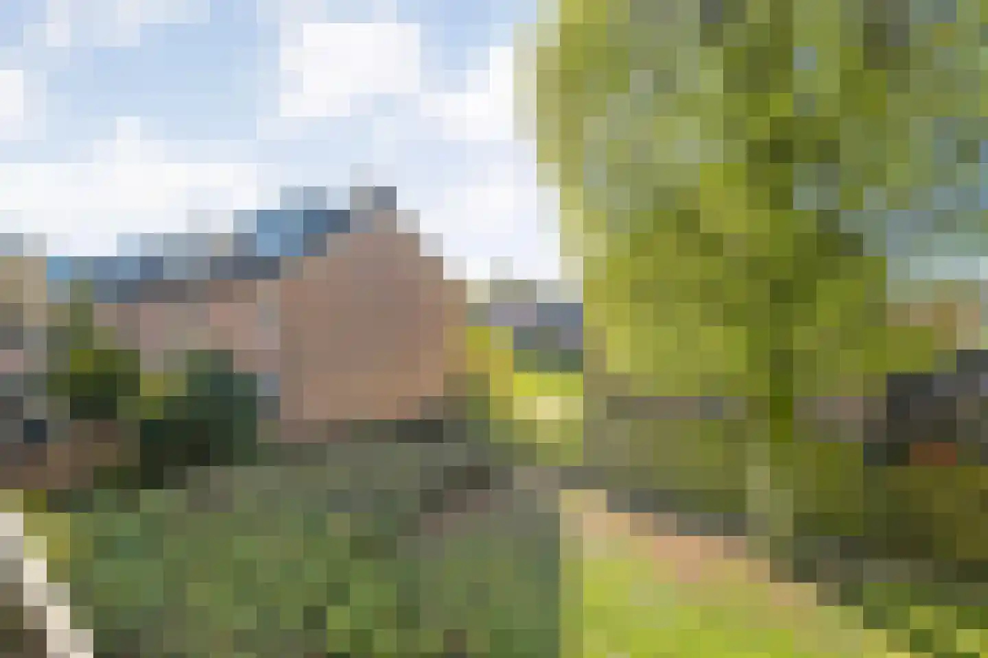 Palestrinalaan 122 Zwolle thumbnail 50