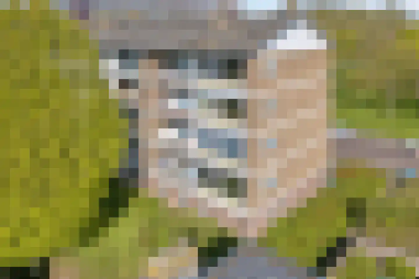 Palestrinalaan 122 Zwolle thumbnail 8