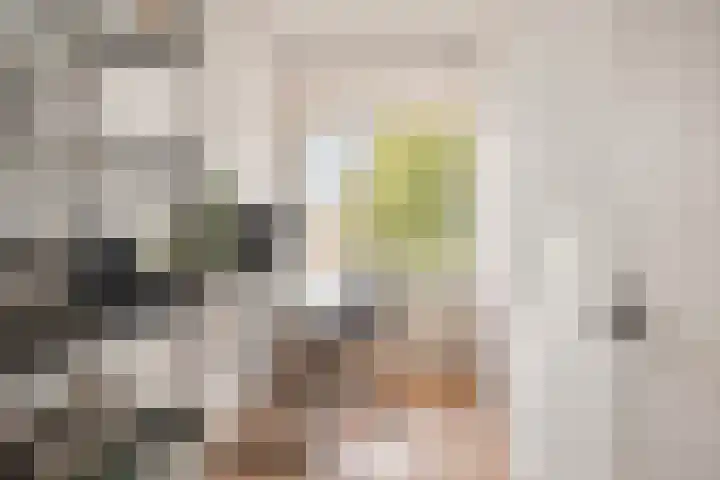 Palestrinalaan 126 Zwolle thumbnail 16