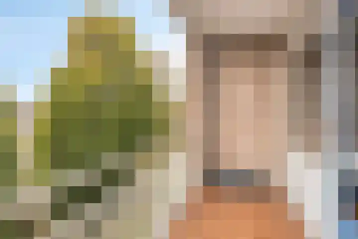 Palestrinalaan 126 Zwolle thumbnail 20