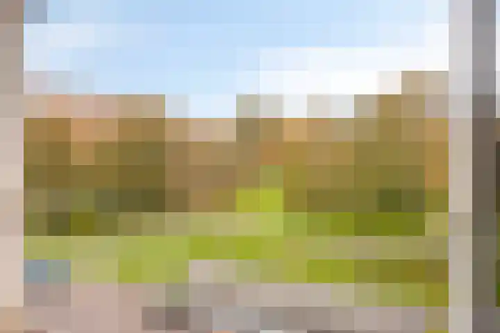 Palestrinalaan 126 Zwolle thumbnail 24