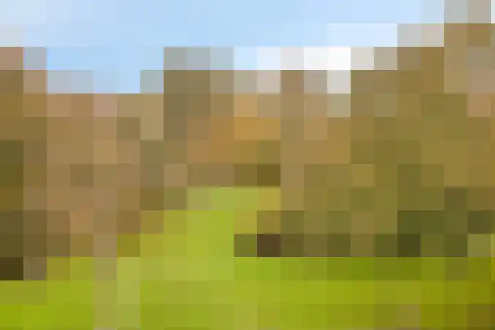 Palestrinalaan 126 Zwolle thumbnail 25