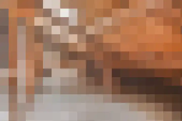 Palestrinalaan 126 Zwolle thumbnail 31