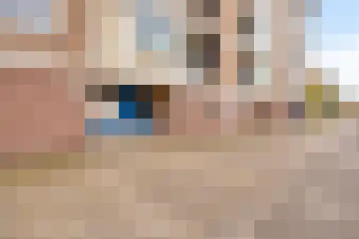 Palestrinalaan 126 Zwolle thumbnail 34