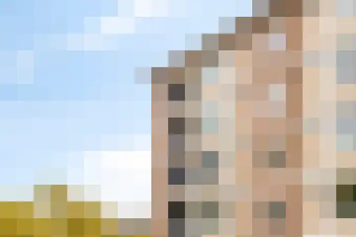 Palestrinalaan 126 Zwolle thumbnail 35