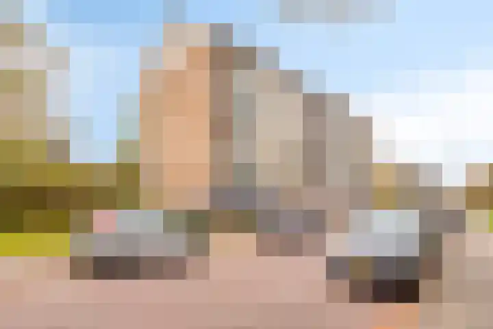 Palestrinalaan 126 Zwolle thumbnail 37