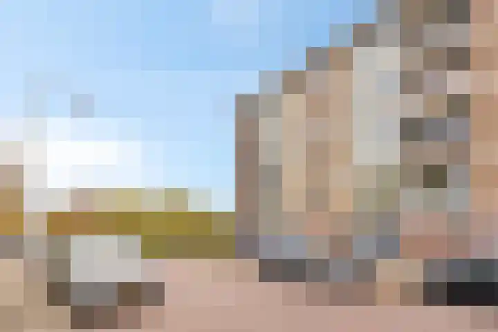 Palestrinalaan 126 Zwolle thumbnail 38