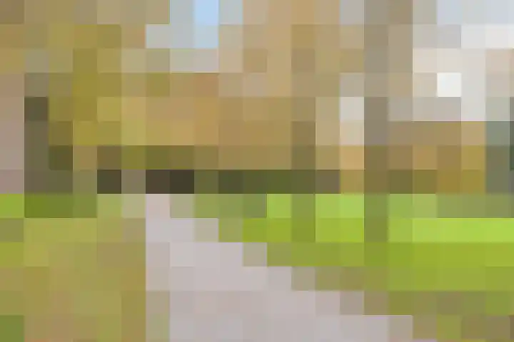 Palestrinalaan 126 Zwolle thumbnail 39