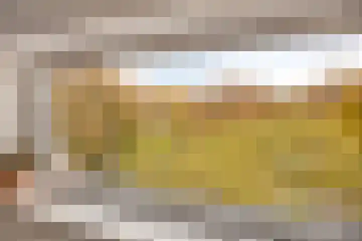 Palestrinalaan 126 Zwolle thumbnail 4