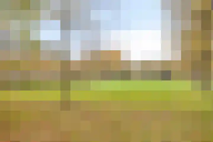 Palestrinalaan 126 Zwolle thumbnail 40