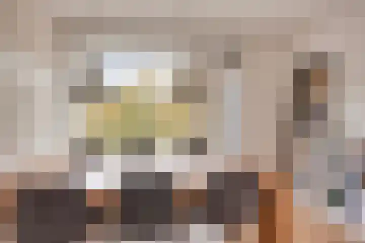 Palestrinalaan 126 Zwolle thumbnail 6