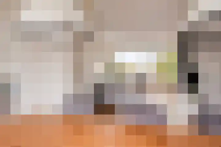 Palestrinalaan 126 Zwolle thumbnail 7