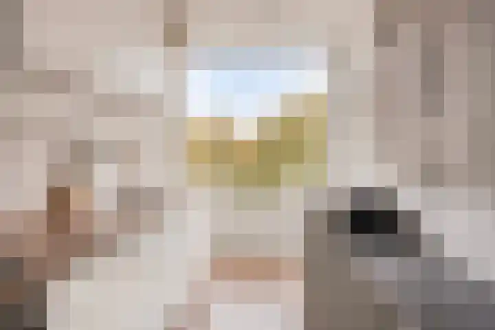 Palestrinalaan 126 Zwolle thumbnail 8