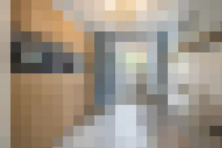 Palestrinalaan 15 Voorschoten thumbnail 16
