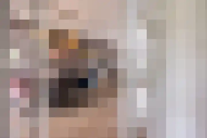 Palestrinalaan 15 Voorschoten thumbnail 17
