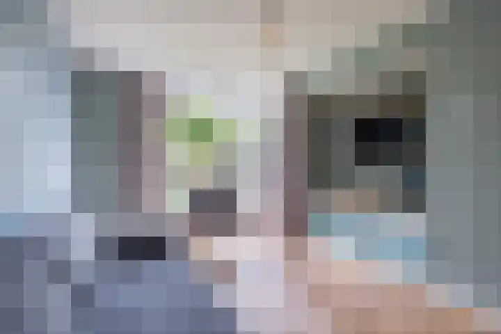 Palestrinalaan 15 Voorschoten thumbnail 20