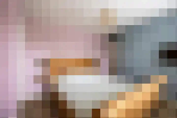 Palestrinalaan 15 Voorschoten thumbnail 22