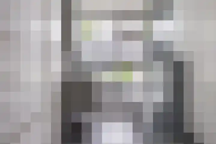 Palestrinalaan 15 Voorschoten thumbnail 29