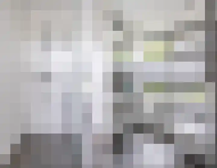 Palestrinalaan 15 Voorschoten thumbnail 30