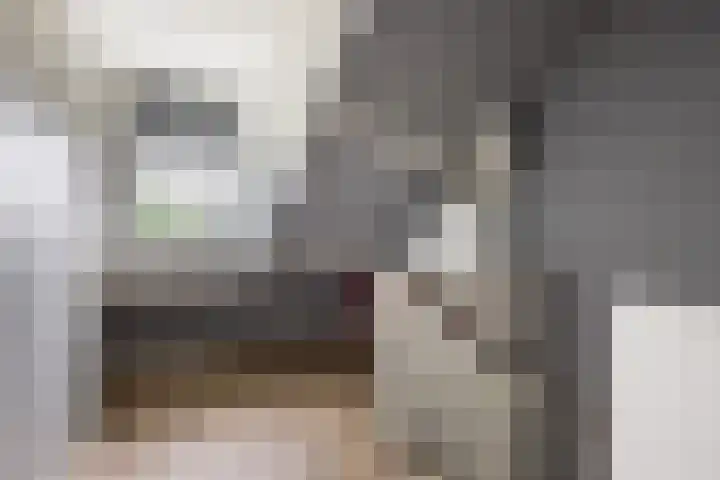 Palestrinalaan 15 Voorschoten thumbnail 31