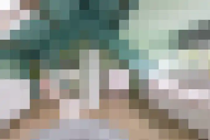 Palestrinalaan 15 Voorschoten thumbnail 33