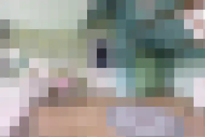 Palestrinalaan 15 Voorschoten thumbnail 34