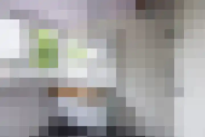 Palestrinalaan 15 Voorschoten thumbnail 35