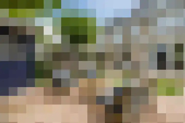 Palestrinalaan 15 Voorschoten thumbnail 38